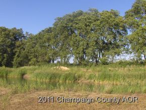2400 E Homer, IL 61849 - Photo 17 of 20