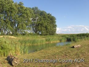 2400 E Homer, IL 61849 - Photo 19 of 20