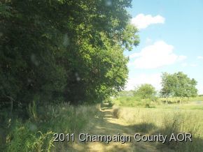 2400 E Homer, IL 61849 - Photo 2 of 20