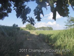 2400 E Homer, IL 61849 - Photo 3 of 20