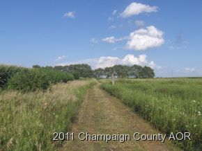 2400 E Homer, IL 61849 - Photo 4 of 20