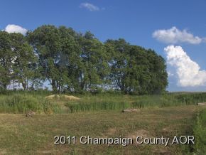 2400 E Homer, IL 61849 - Photo 8 of 20