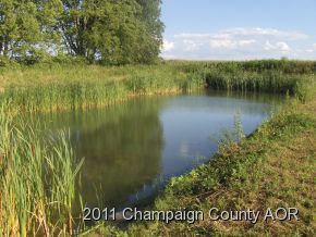 2400 E Homer, IL 61849 - Photo 9 of 20