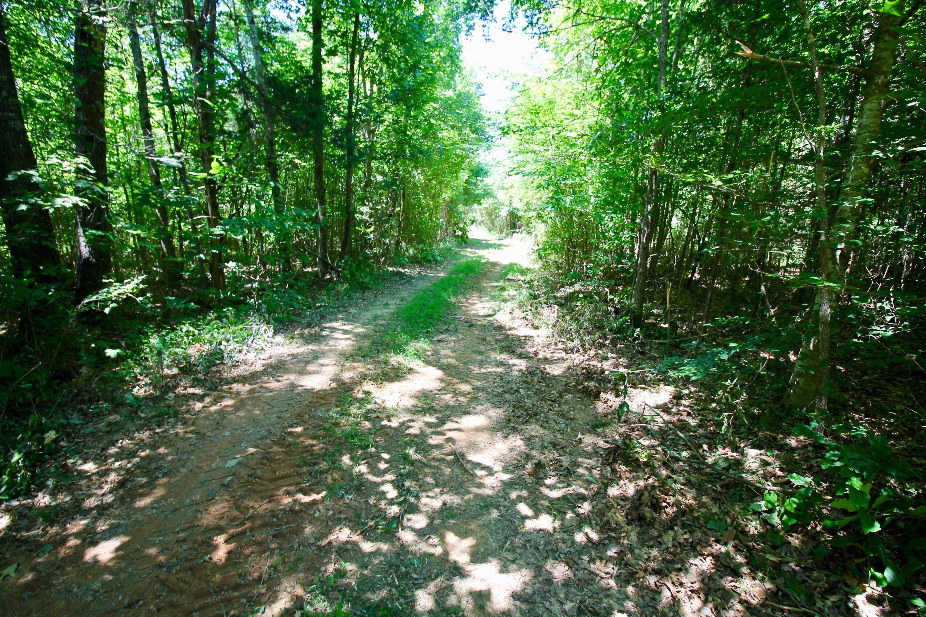 150 River Road Decatur, TN 37322 - Photo 2 of 40 2