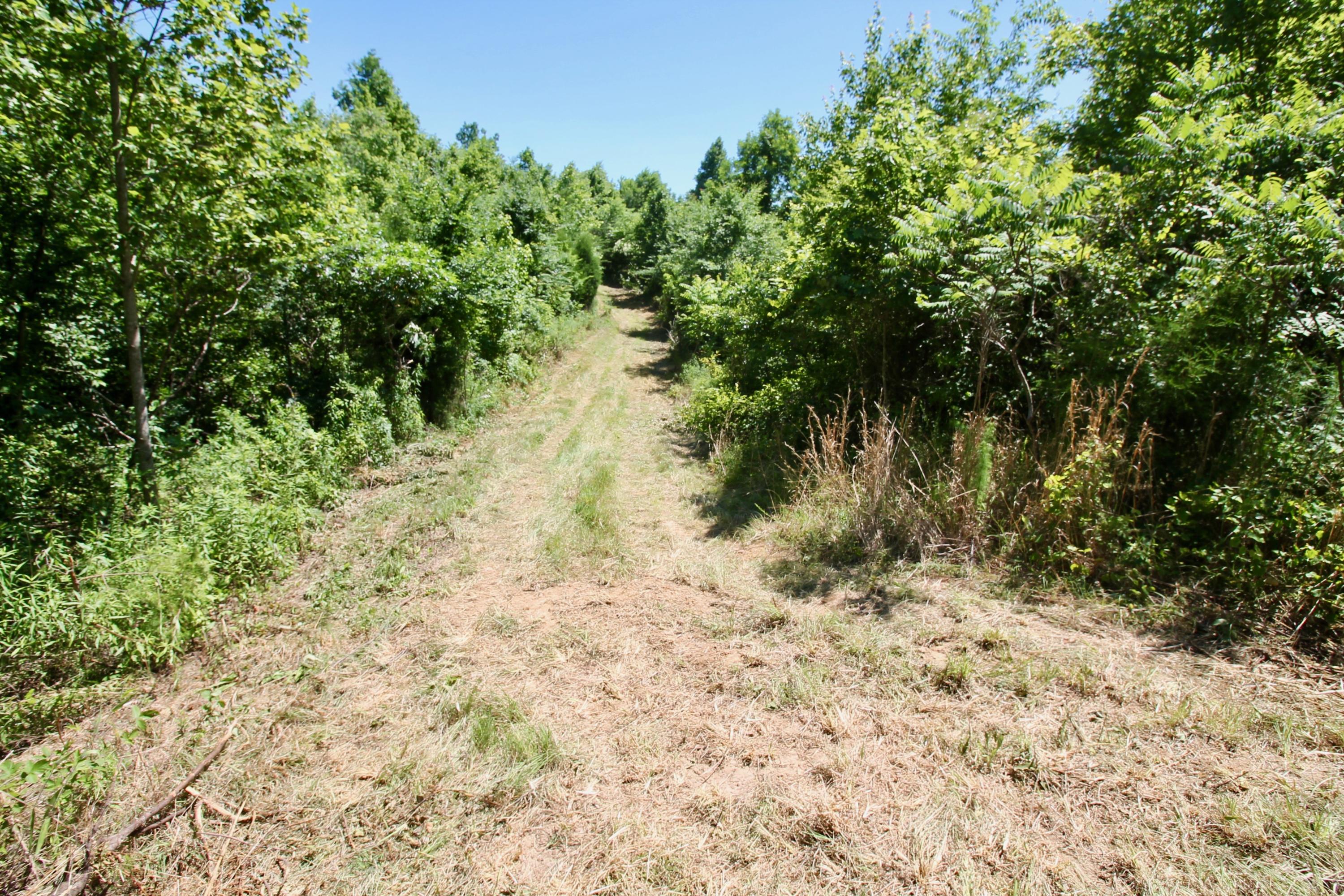150 River Road Decatur, TN 37322 - Photo 16 of 40 22