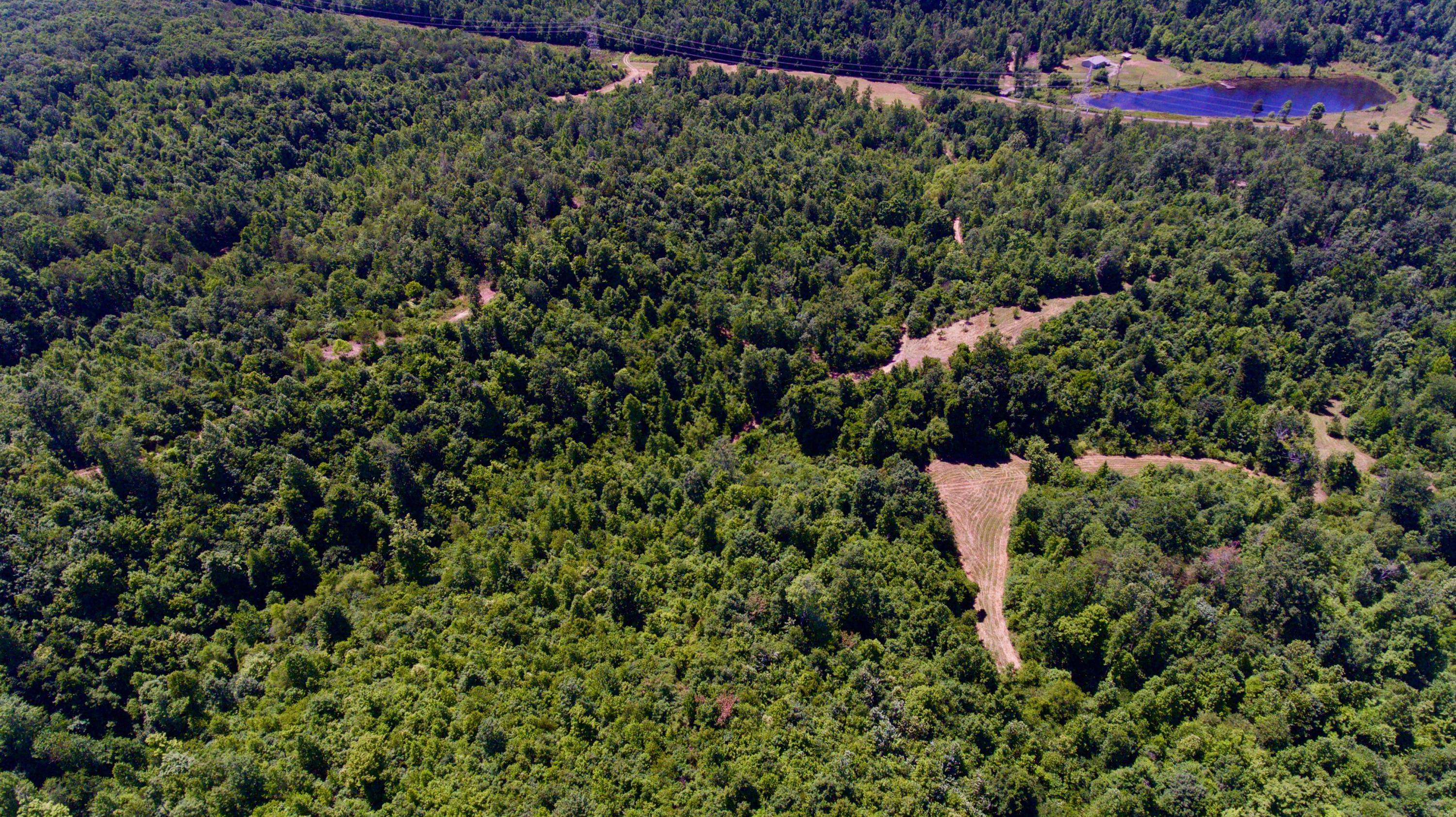 150 River Road Decatur, TN 37322 - Photo 20 of 40 28