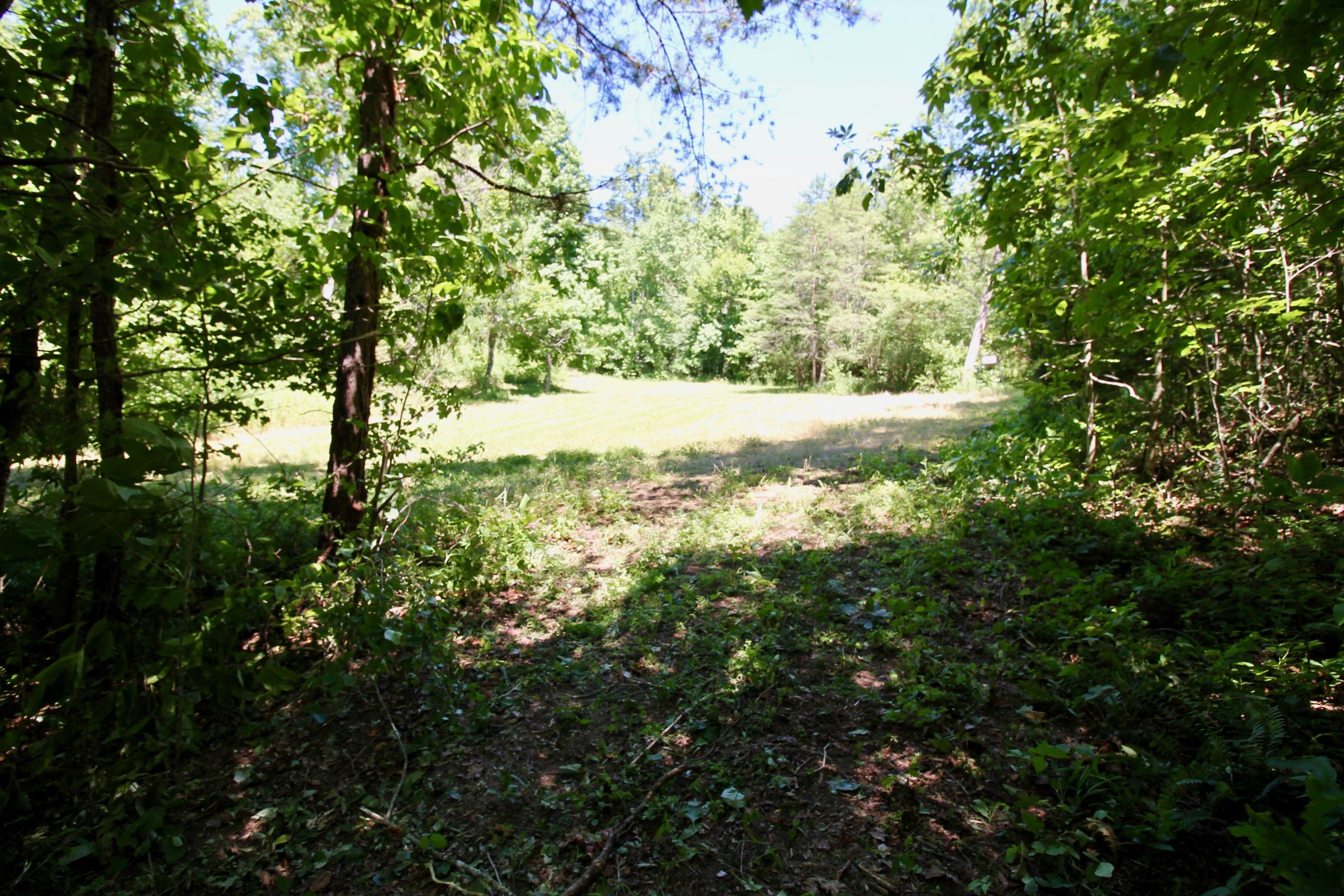 150 River Road Decatur, TN 37322 - Photo 3 of 40 3