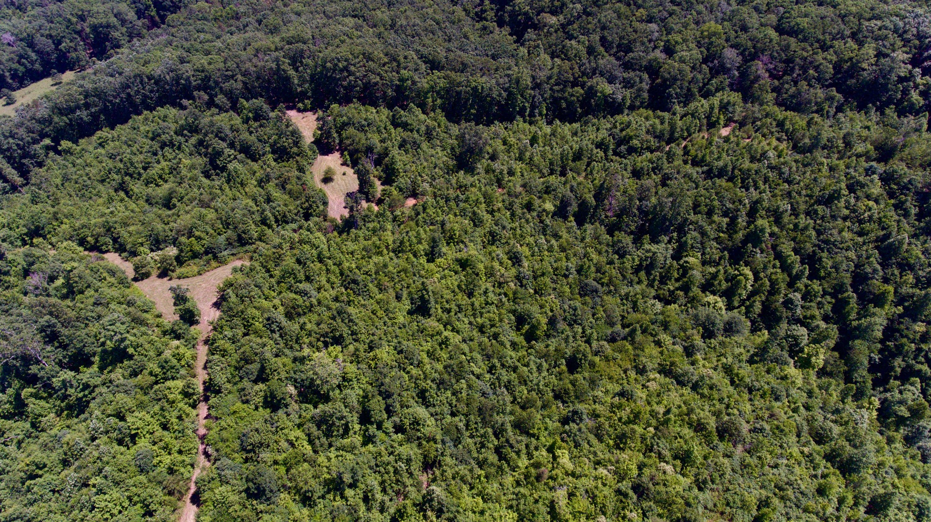 150 River Road Decatur, TN 37322 - Photo 28 of 40 DJI_0068