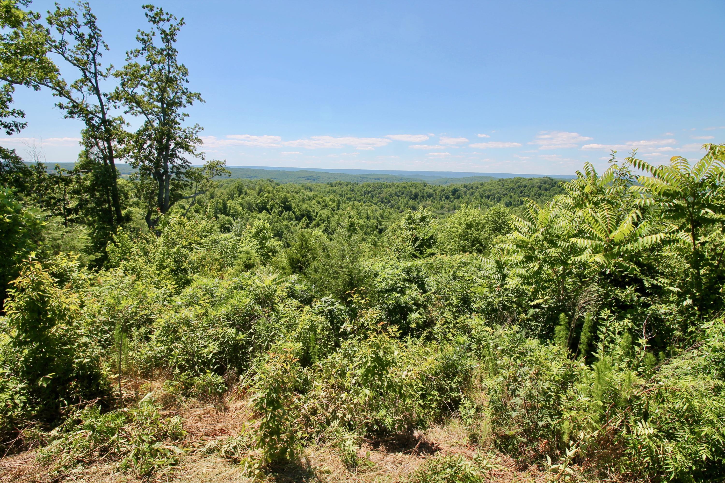 150 River Road Decatur, TN 37322 - Photo 4 of 40 4