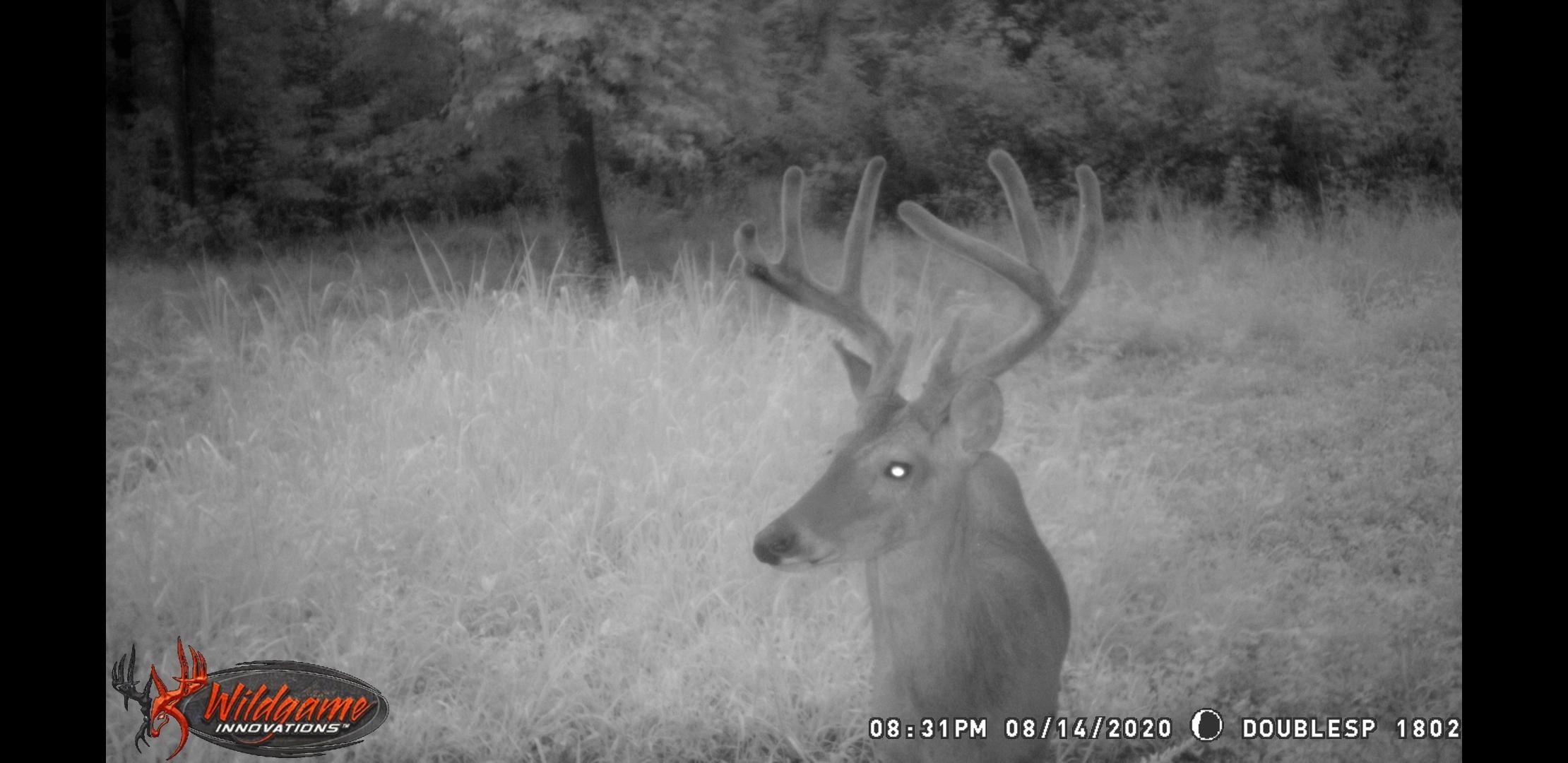 150 River Road Decatur, TN 37322 - Photo 34 of 40 Screenshot_20200910-092639_Gallery