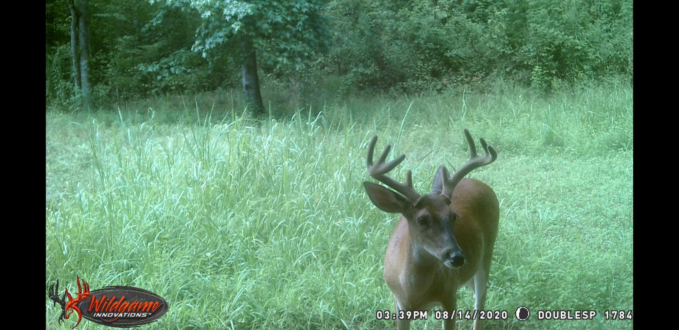 150 River Road Decatur, TN 37322 - Photo 35 of 40 Screenshot_20200910-092728_Gallery