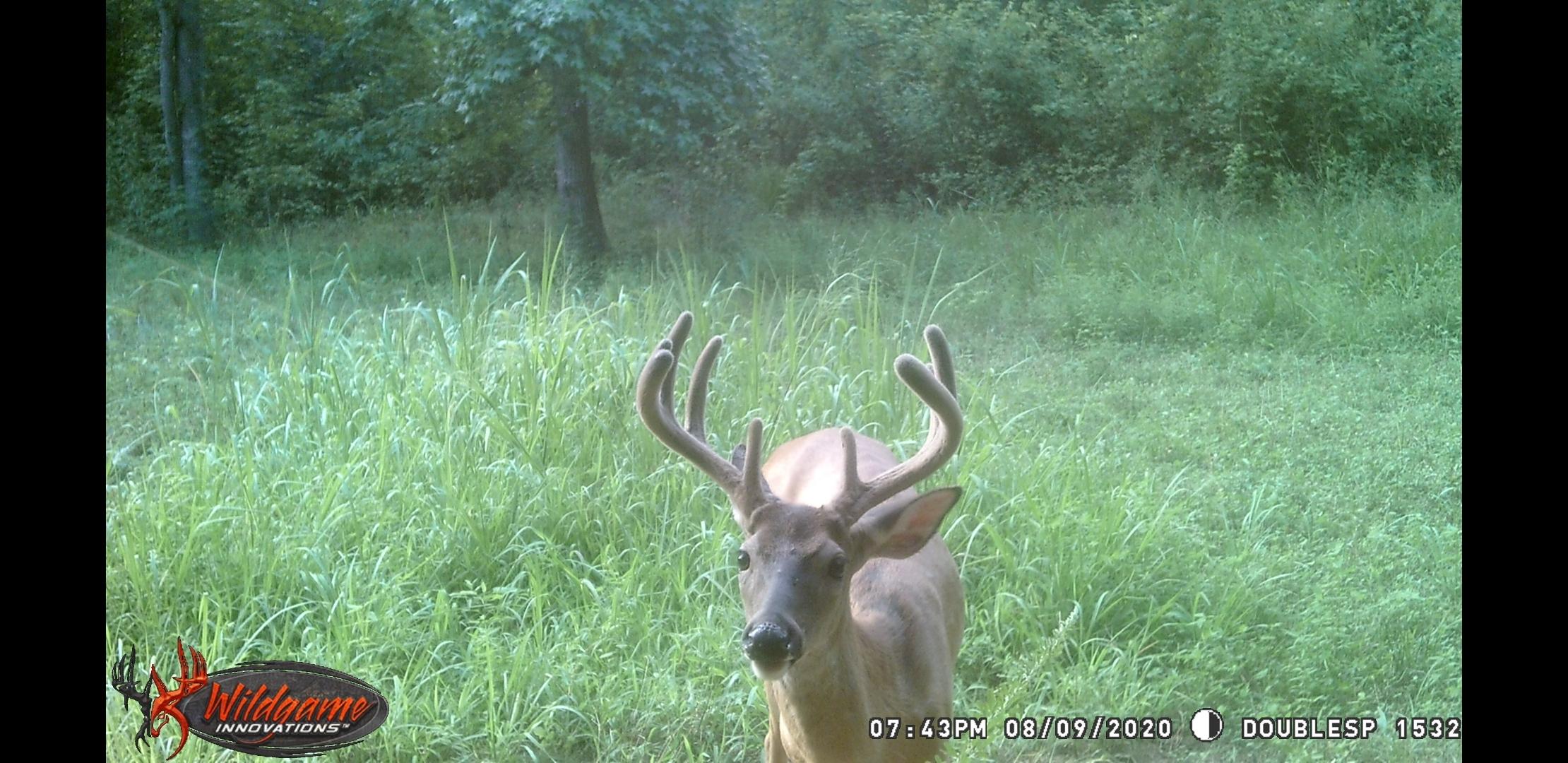 150 River Road Decatur, TN 37322 - Photo 39 of 40 Screenshot_20200910-093117_Gallery