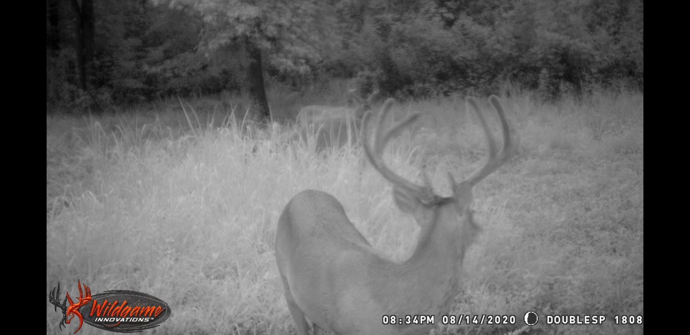 150 River Road Decatur, TN 37322 - Photo 40 of 40 Screenshot_20200910-092509_Gallery