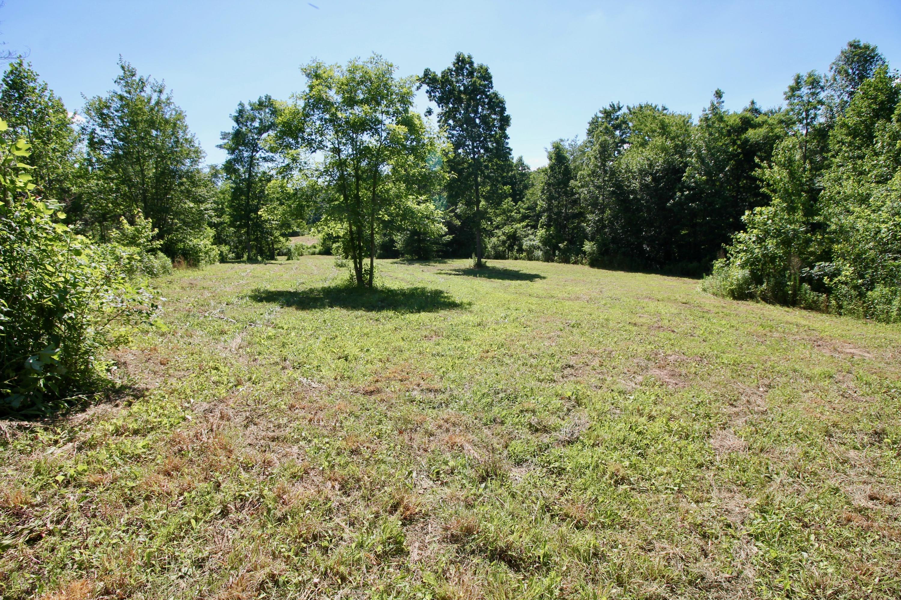 150 River Road Decatur, TN 37322 - Photo 6 of 40 6