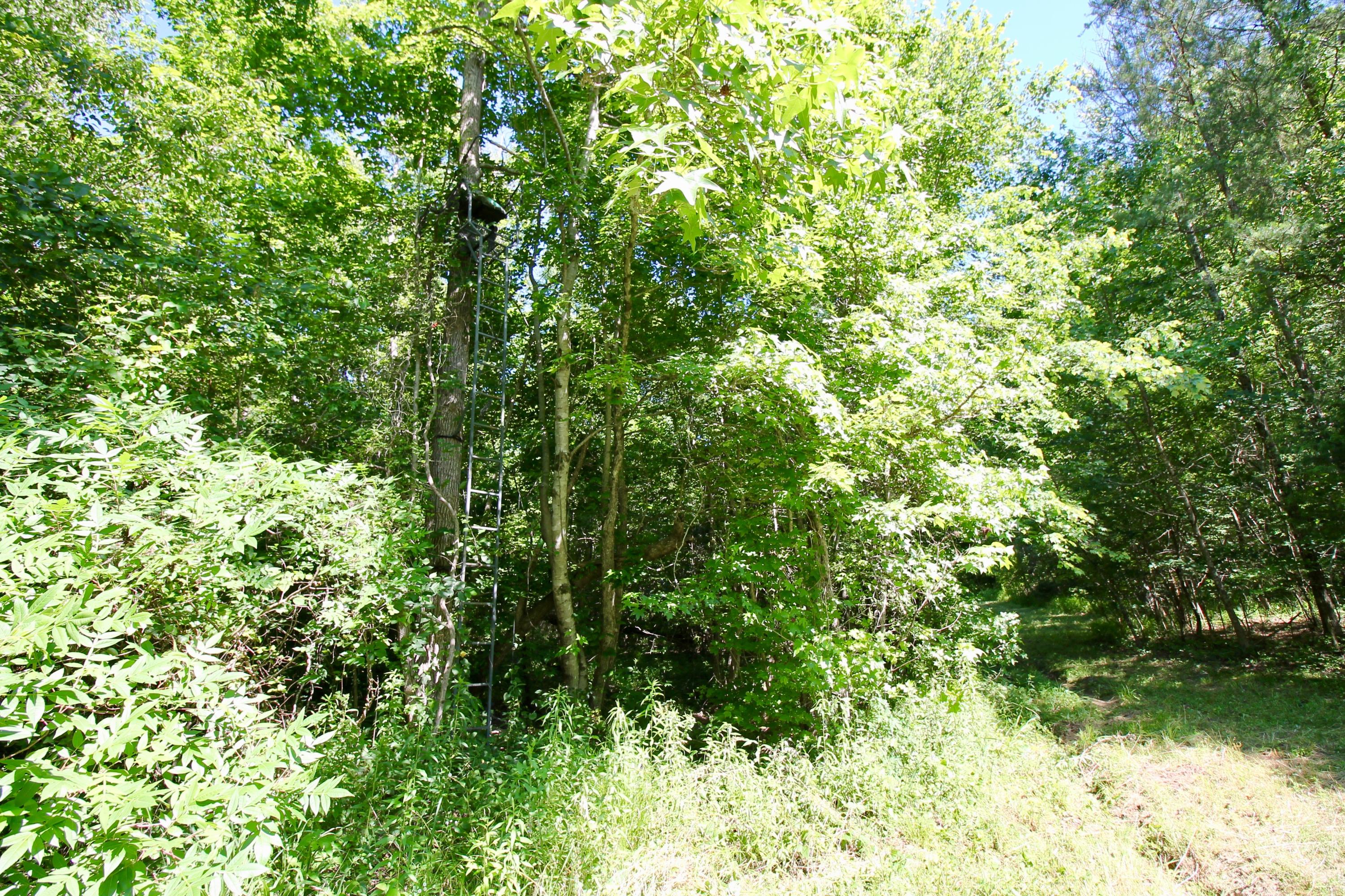 150 River Road Decatur, TN 37322 - Photo 7 of 40 7