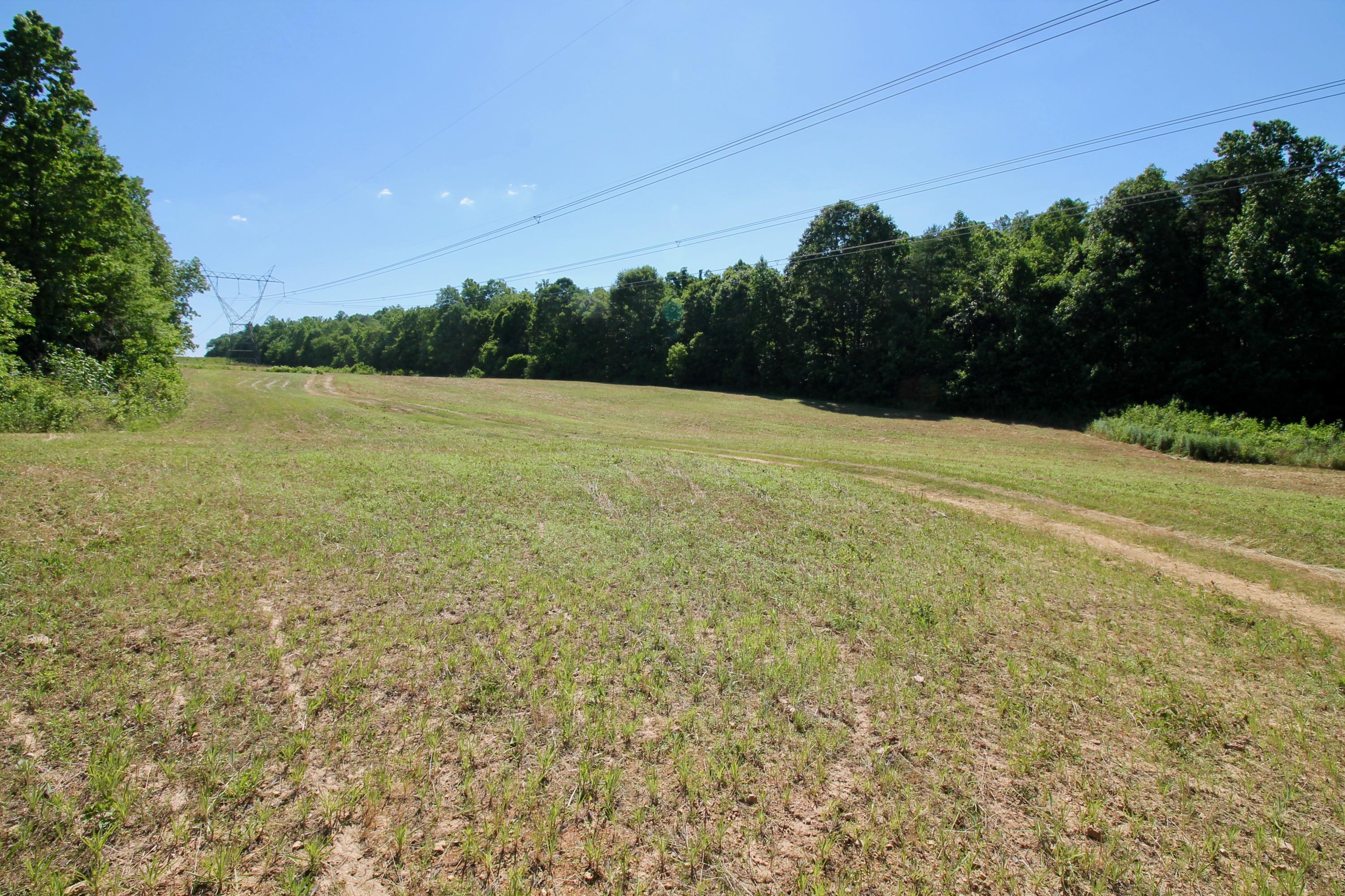 150 River Road Decatur, TN 37322 - Photo 8 of 40 8