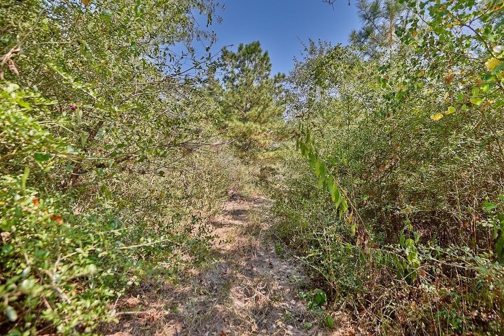 28850 Riley Road Waller, TX 77484 - Photo 22 of 23