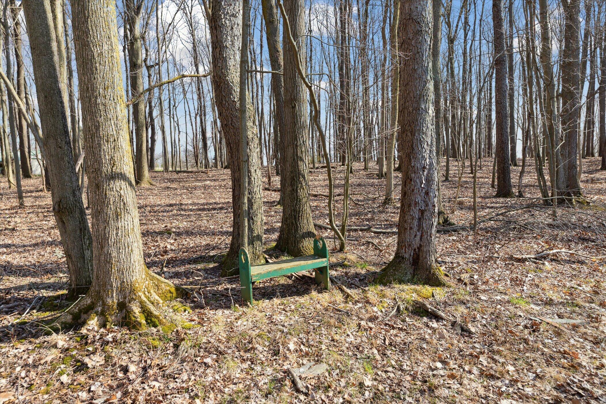 13344 Gilkey Lake Road Delton, MI 49046 - Photo 56 of 60 47-13344-Gilkey-Lake-Rd-Delton-MI-49046-