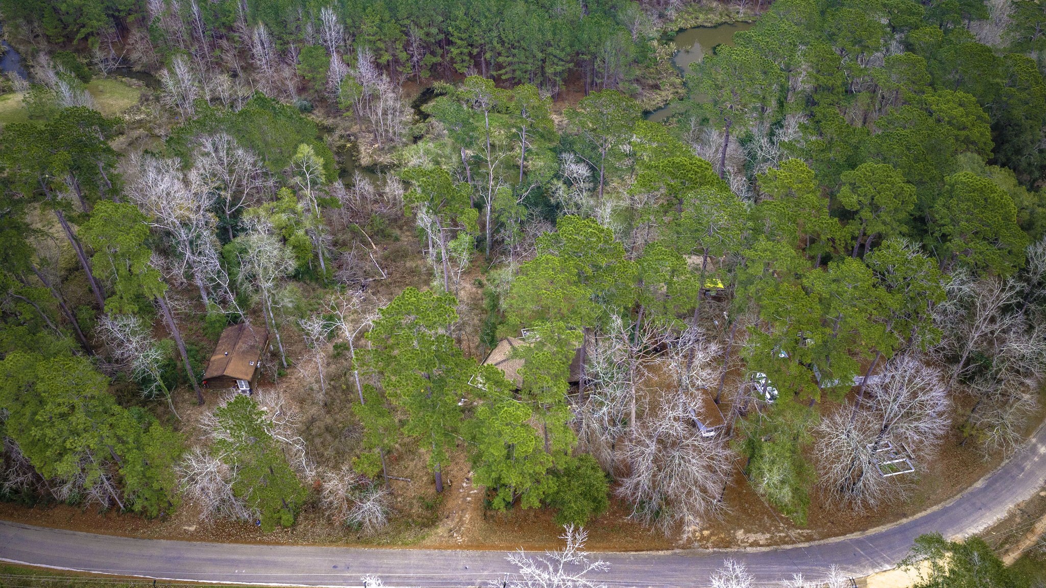 1542 Hillbilly Heaven Road Livingston, TX 77351 - Photo 12 of 27 a view of a yard