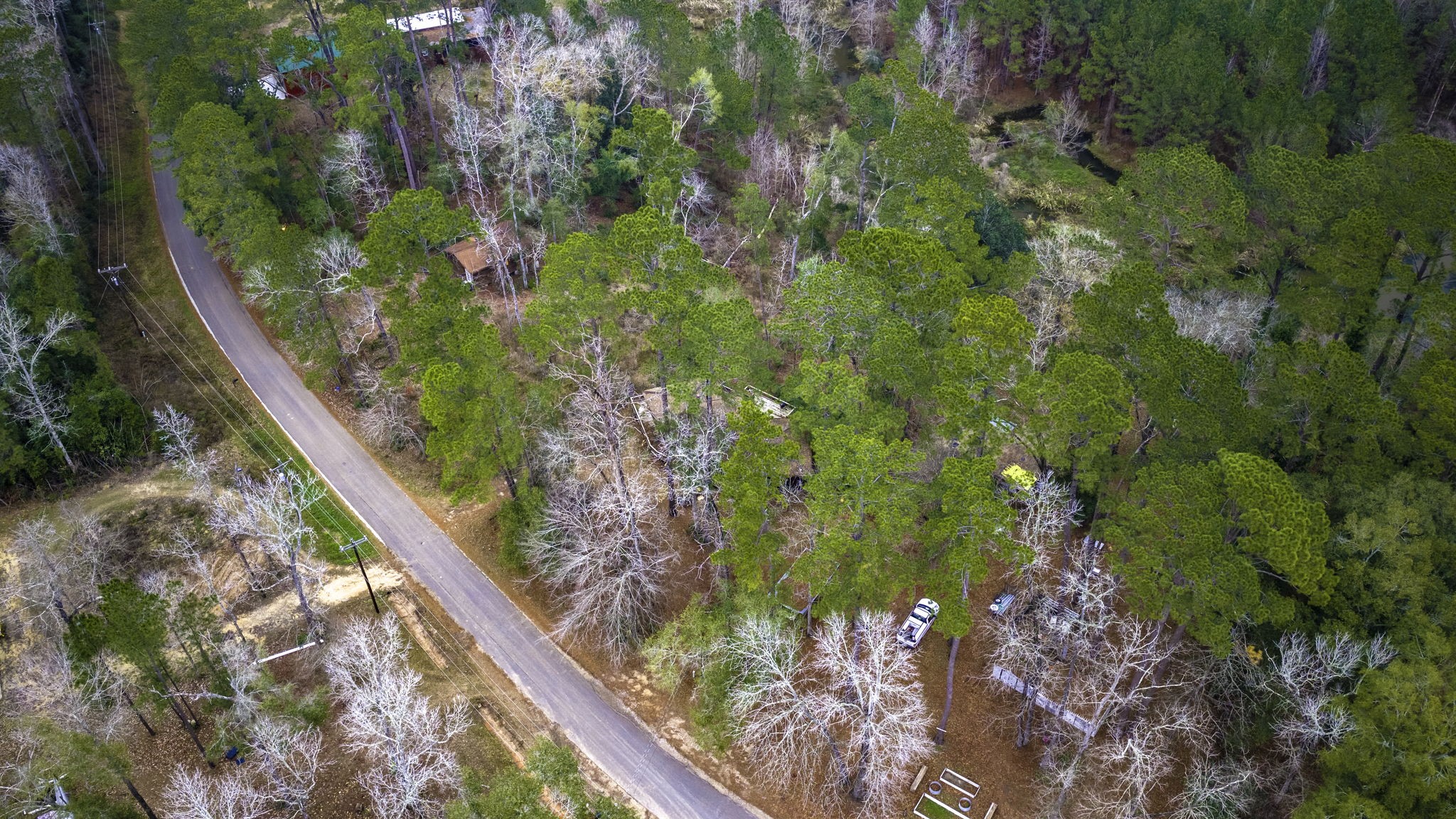 1542 Hillbilly Heaven Road Livingston, TX 77351 - Photo 14 of 27