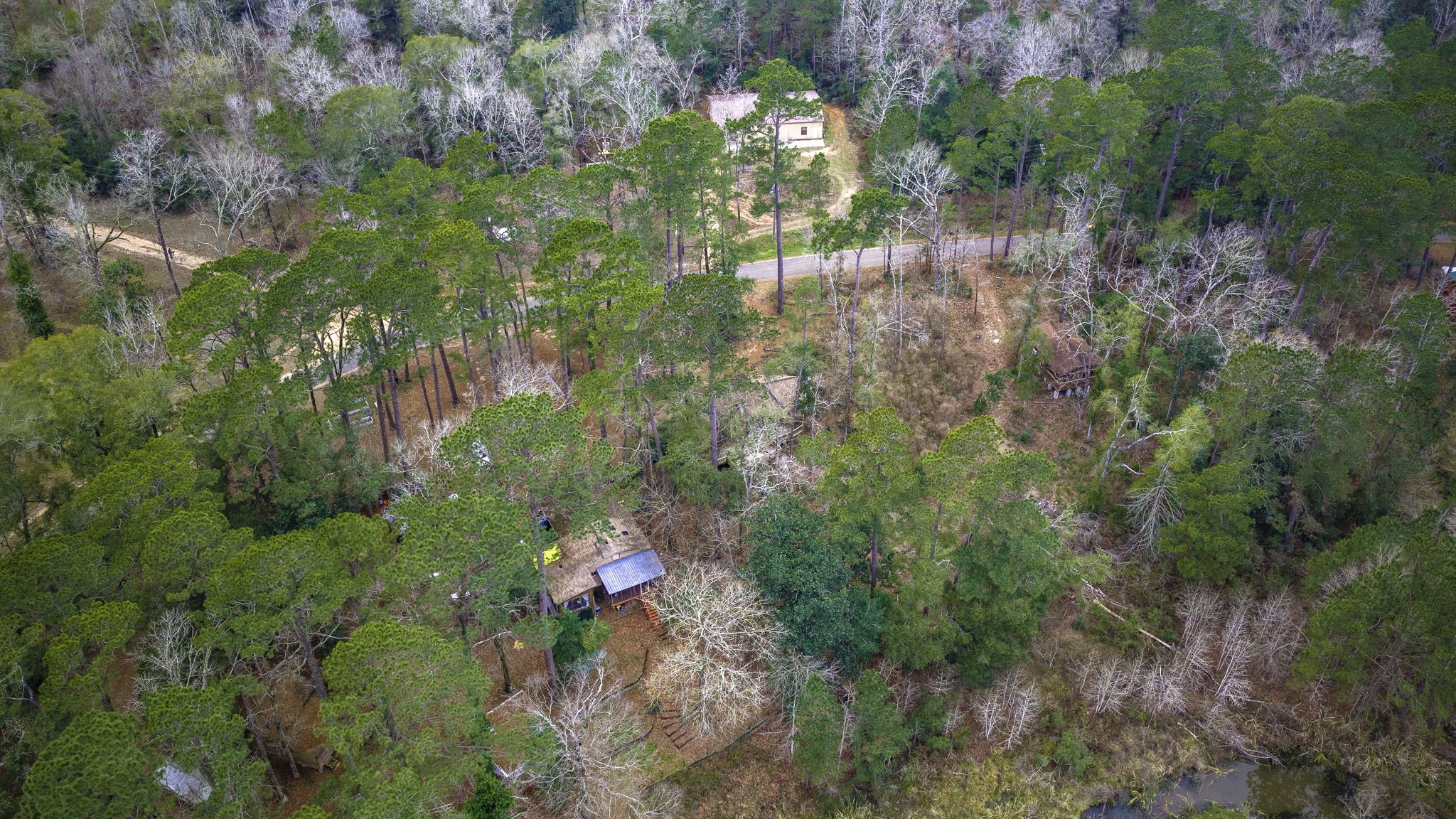 1542 Hillbilly Heaven Road Livingston, TX 77351 - Photo 15 of 27 a backyard of a house with lots of green space