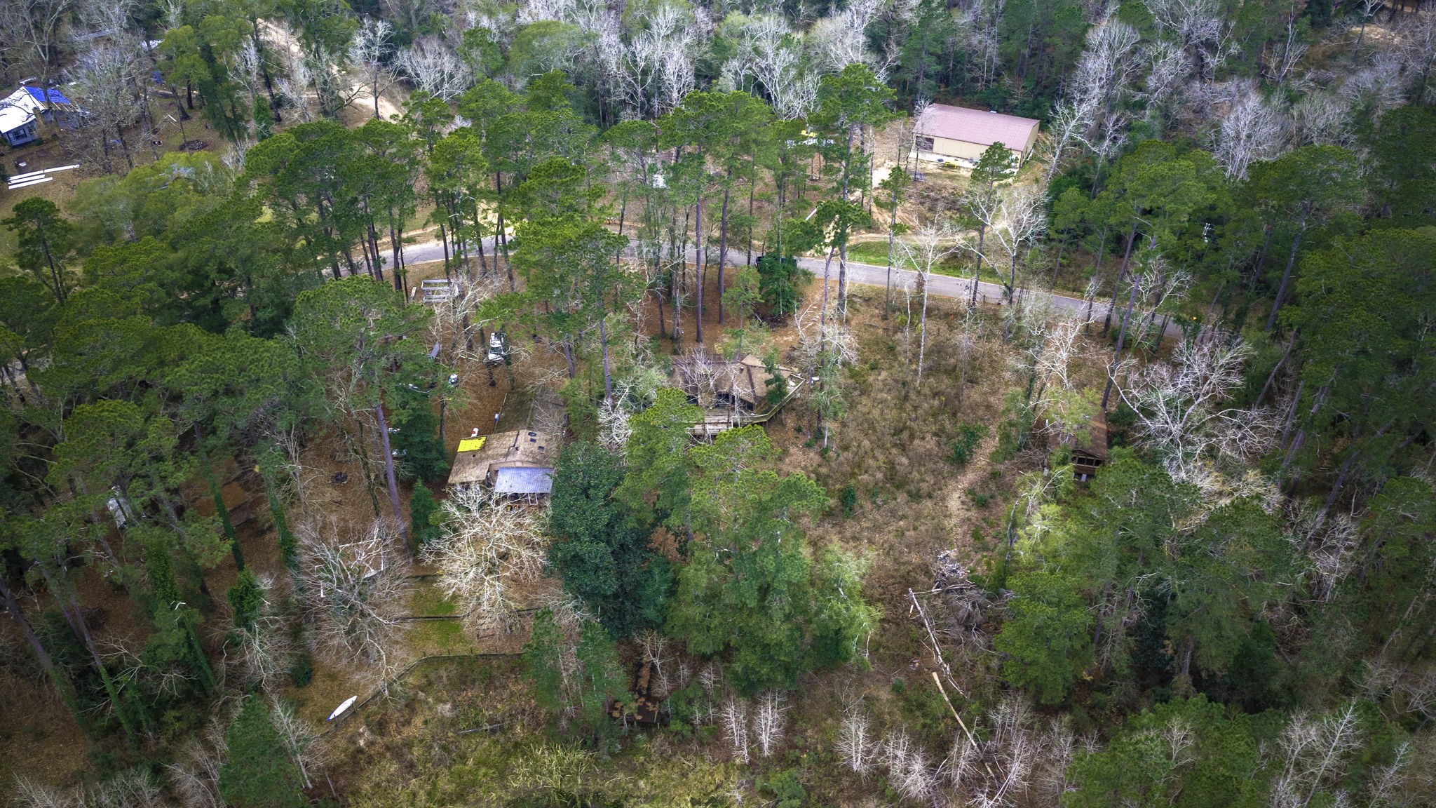 1542 Hillbilly Heaven Road Livingston, TX 77351 - Photo 16 of 27 a view of street view