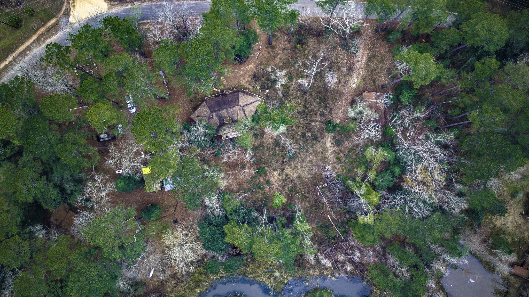 1542 Hillbilly Heaven Road Livingston, TX 77351 - Photo 18 of 27 a backyard of a house with lots of green space