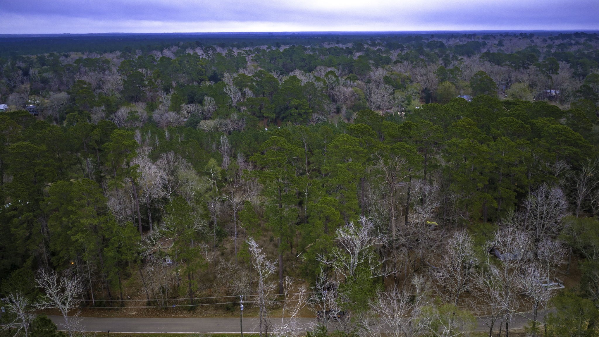 1542 Hillbilly Heaven Road Livingston, TX 77351 - Photo 21 of 27 a view of a city with lush green forest