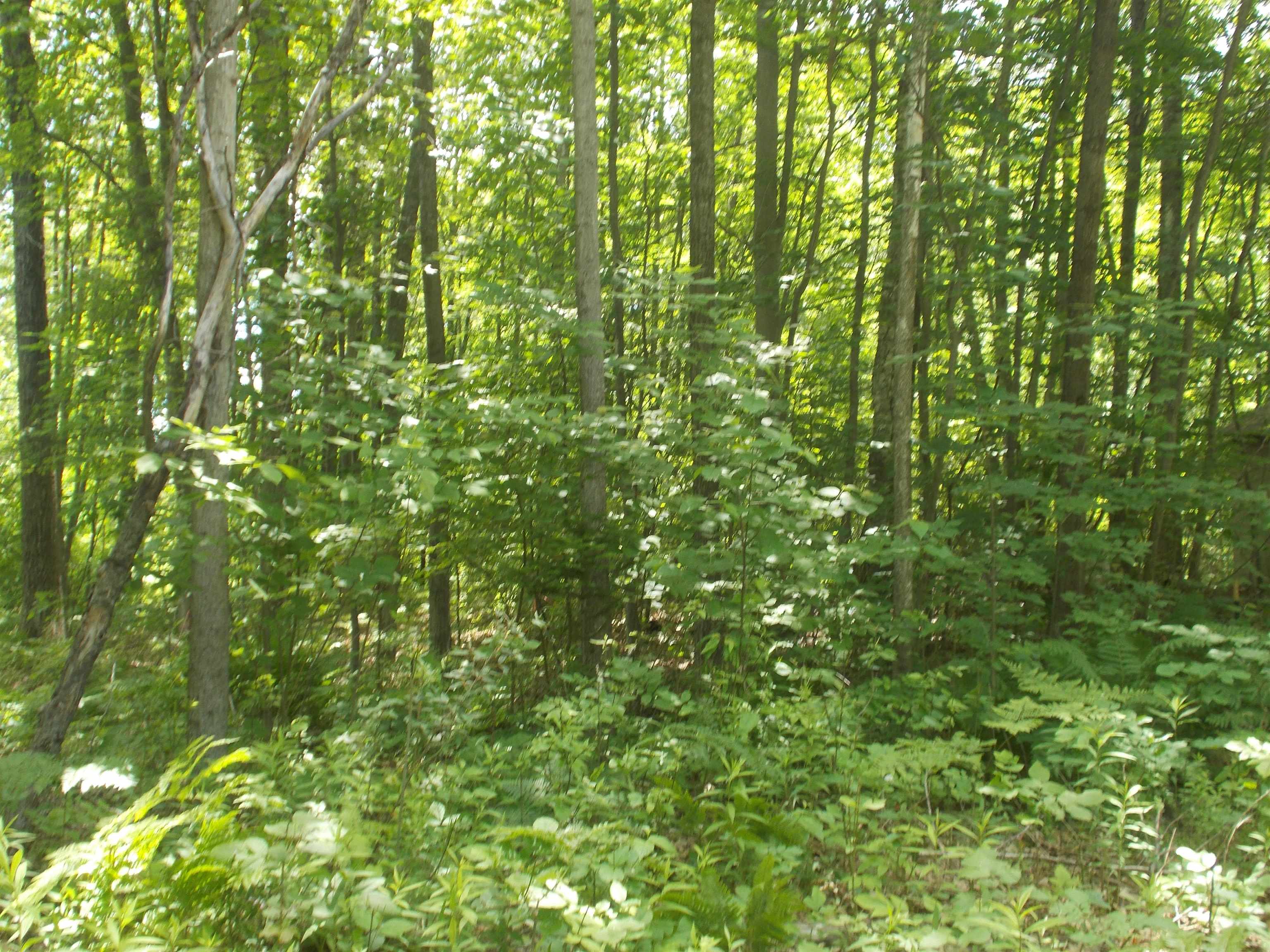 Fern Street Hale, MI 48739 - Photo 5 of 5 1947853-93ecb20a-ff72-4890-95c9-e39ac24ecc02.JPG