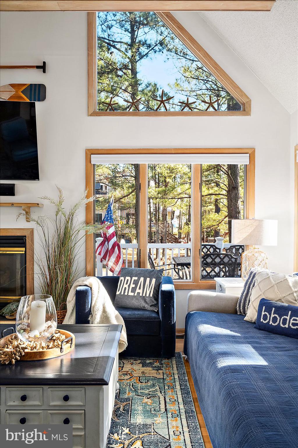 943 Pine Tree Lane Bethany Beach, DE 19930 - Photo 11 of 87 Lots of windows for natural light