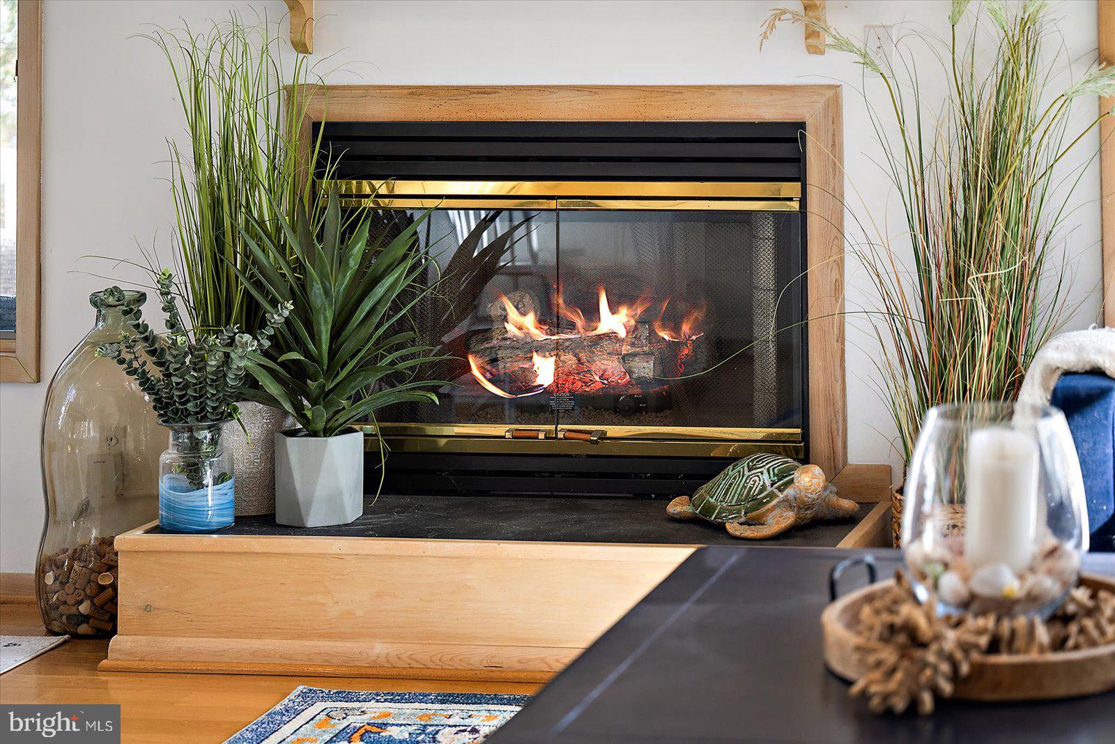943 Pine Tree Lane Bethany Beach, DE 19930 - Photo 12 of 87 Family room fireplace