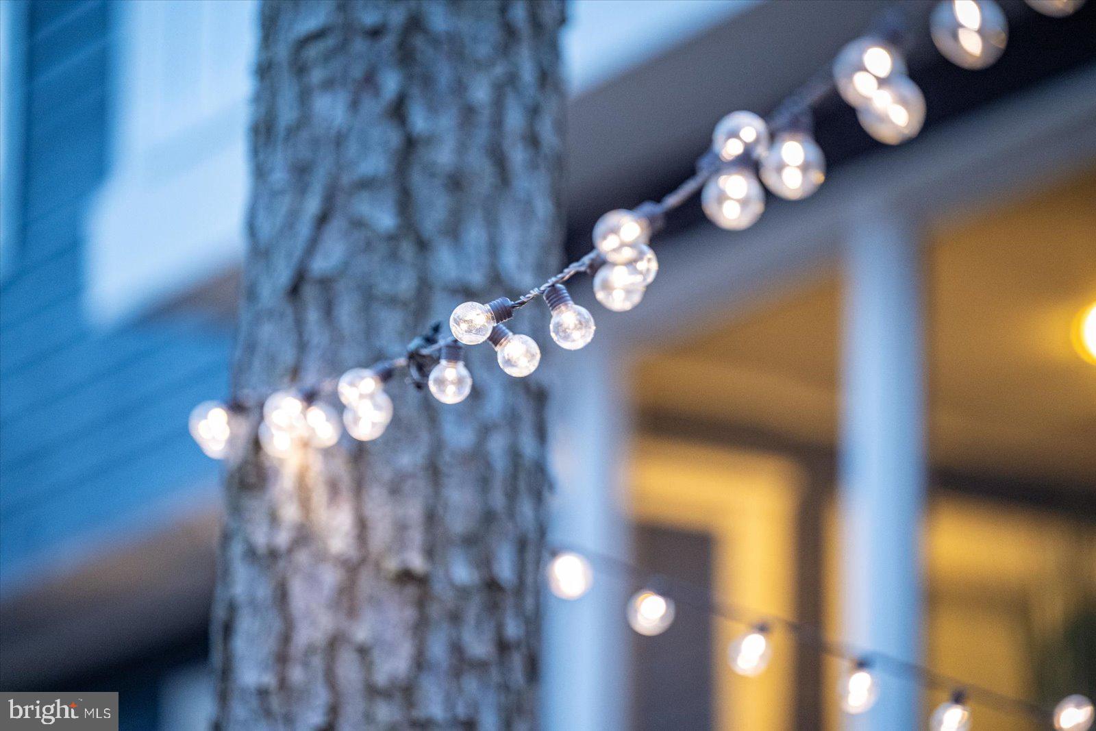 943 Pine Tree Lane Bethany Beach, DE 19930 - Photo 71 of 87