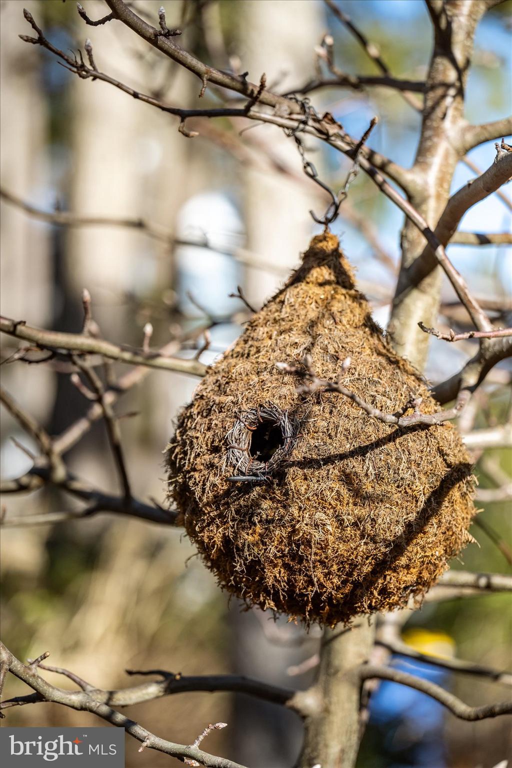 943 Pine Tree Lane Bethany Beach, DE 19930 - Photo 86 of 87