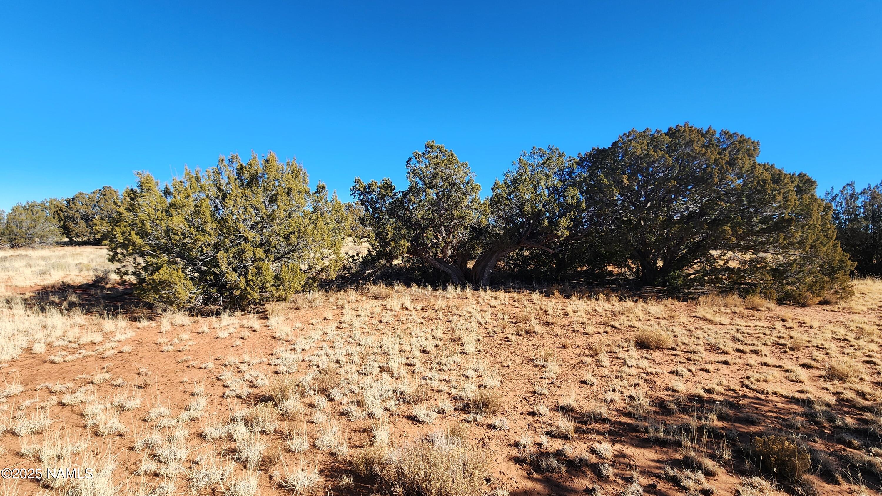 3372 East Valencia Road Williams, AZ 86046 - Photo 7 of 34 1000023828
