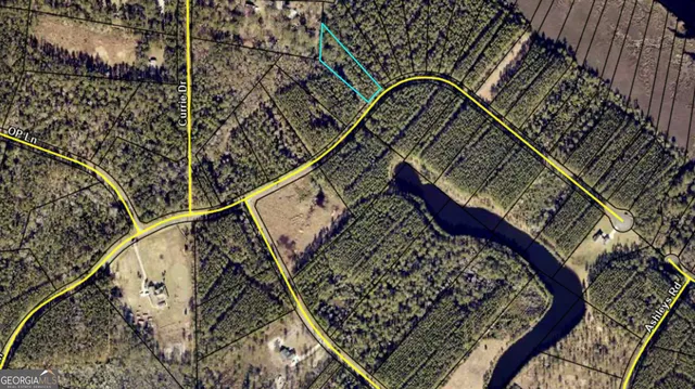 a view of a yard with a trees