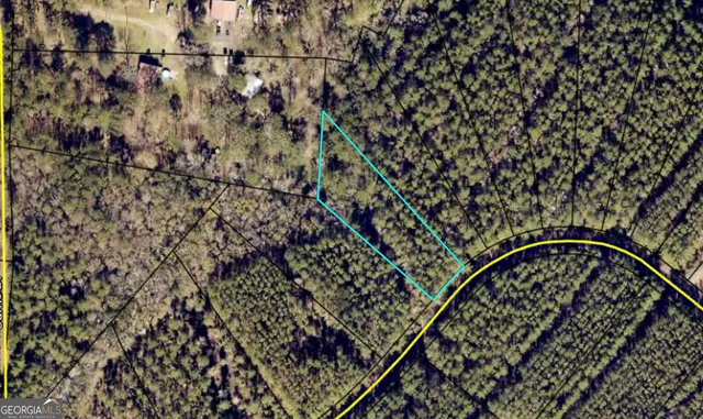 $25,000 | V/l 19 James Lane, White Oak, GA 31568