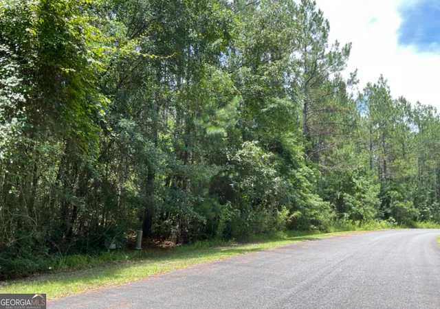 $25,000 | V/l 19 James Lane, White Oak, GA 31568