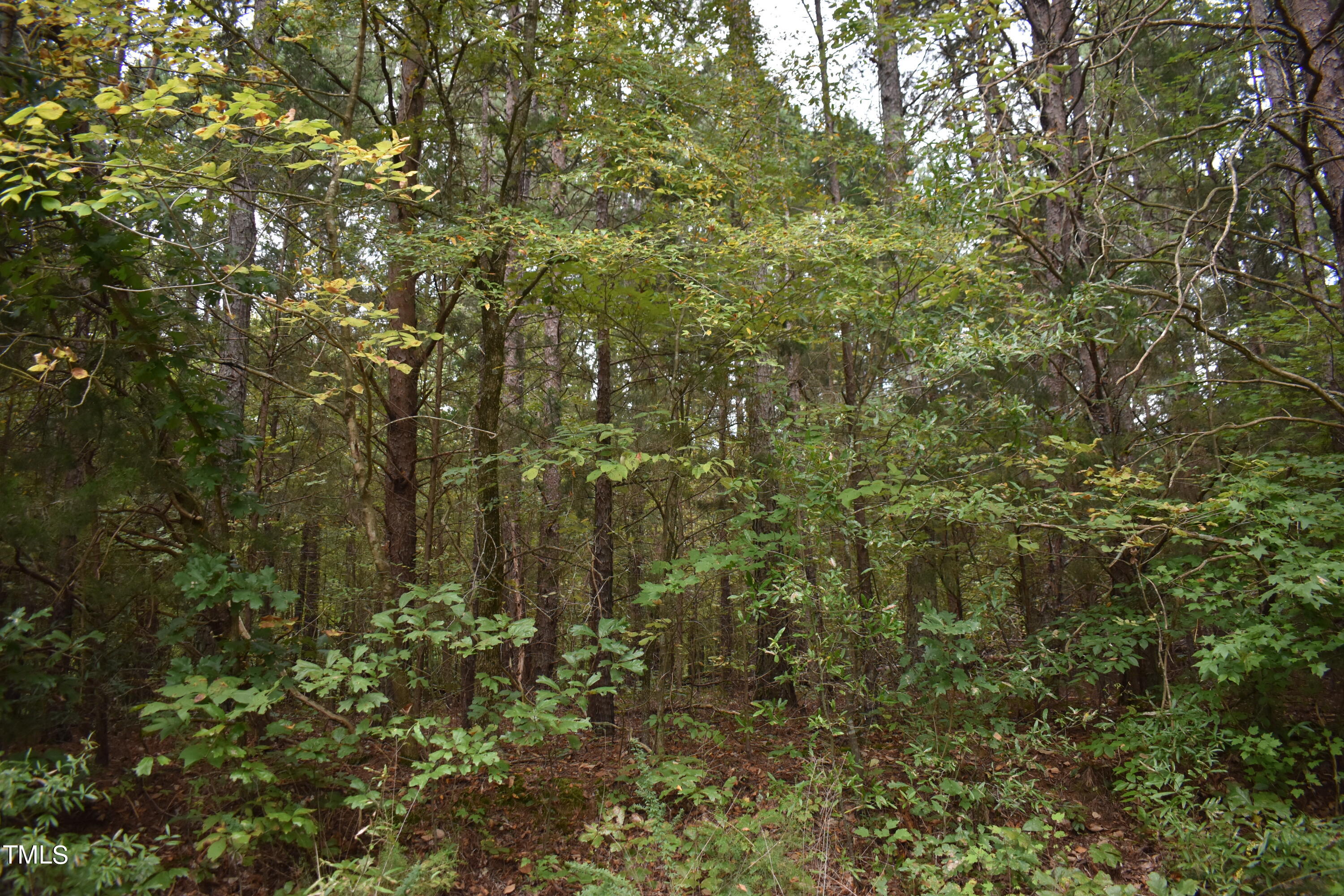 Tbd Tom Stevens Road Siler City, NC 27344 - Photo 1 of 11 DSC_0492