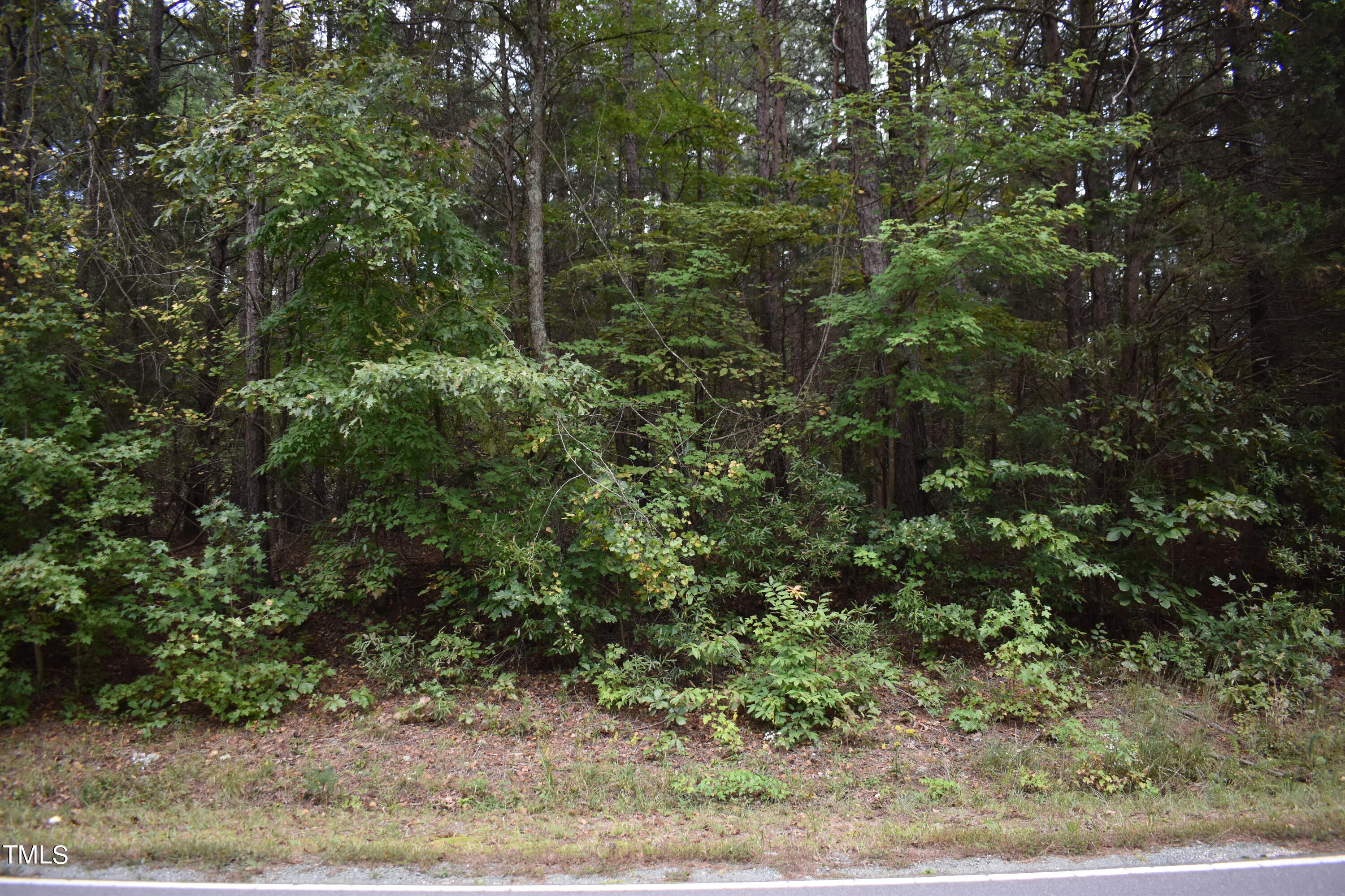 Tbd Tom Stevens Road Siler City, NC 27344 - Photo 2 of 11 DSC_0487