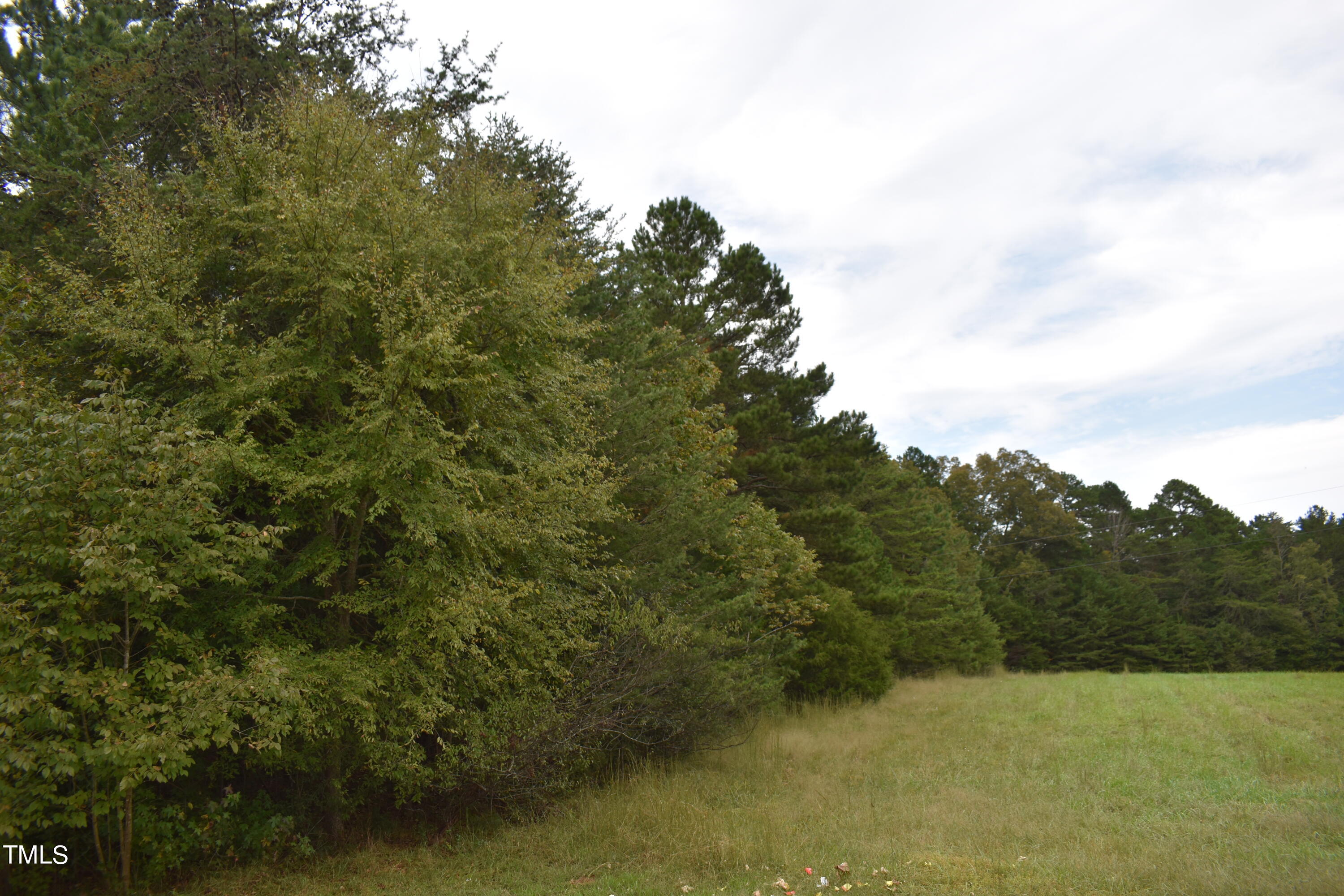 Tbd Tom Stevens Road Siler City, NC 27344 - Photo 5 of 11 DSC_0489