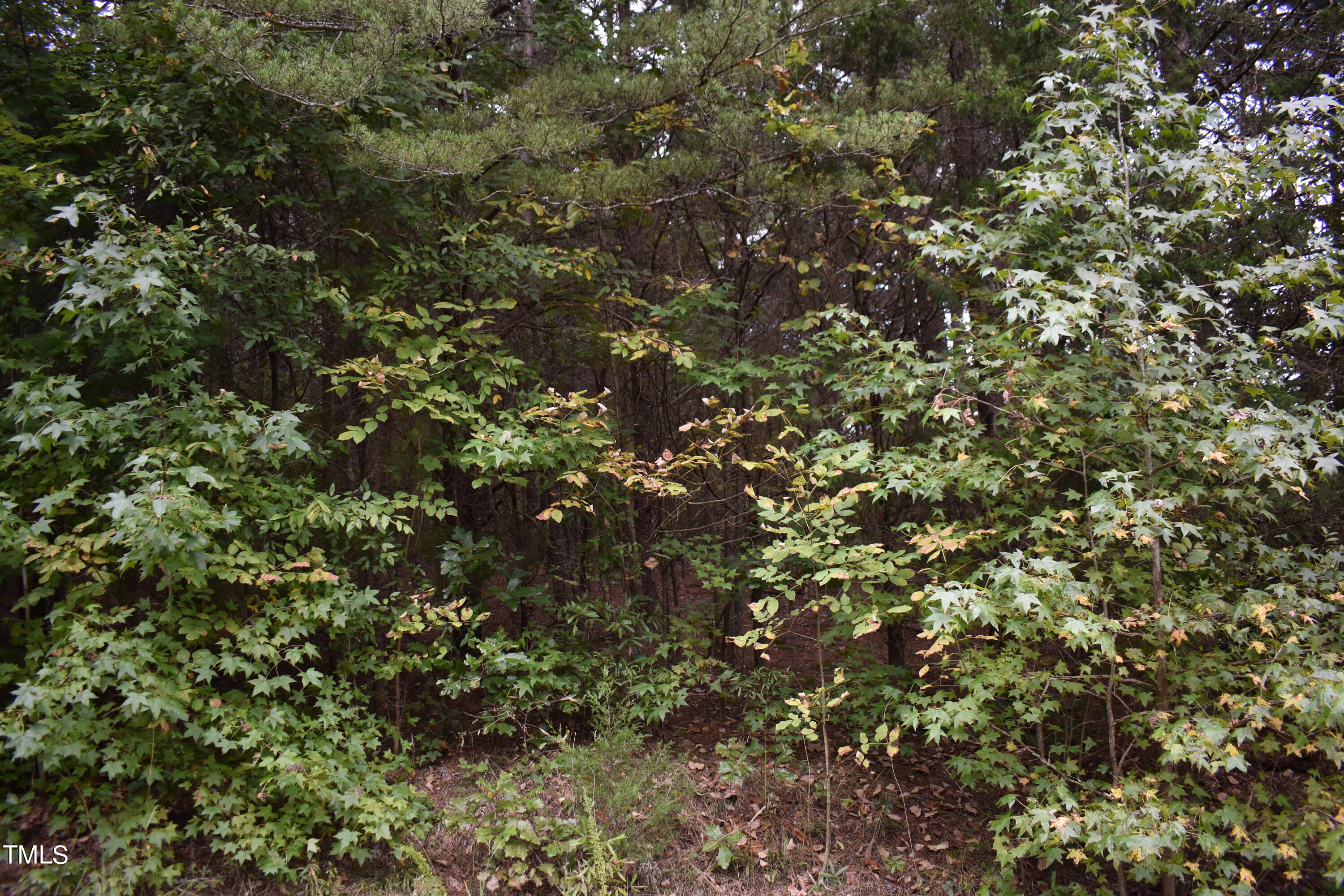 Tbd Tom Stevens Road Siler City, NC 27344 - Photo 6 of 11 DSC_0490