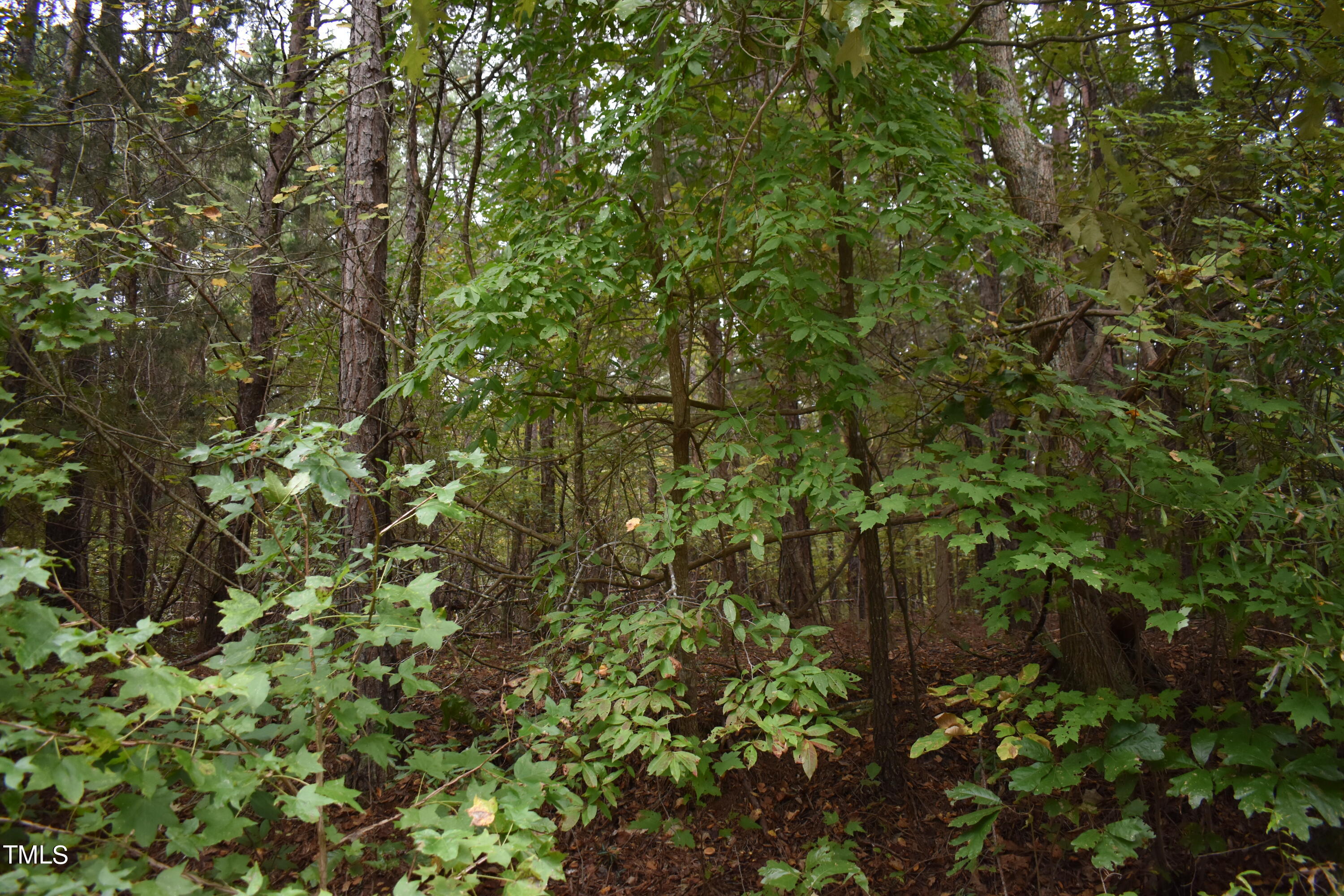 Tbd Tom Stevens Road Siler City, NC 27344 - Photo 7 of 11 DSC_0491