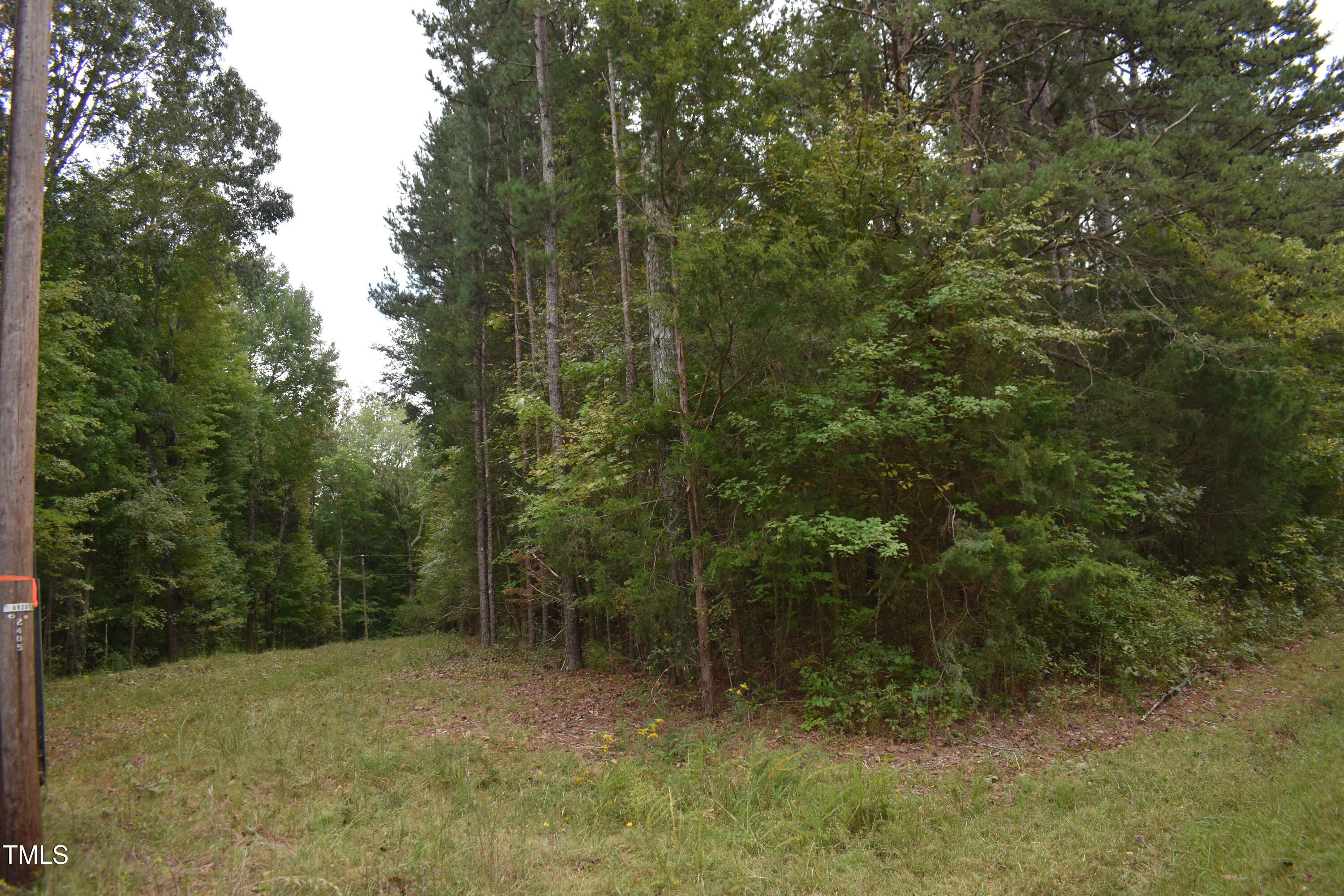 Tbd Tom Stevens Road Siler City, NC 27344 - Photo 8 of 11 DSC_0493