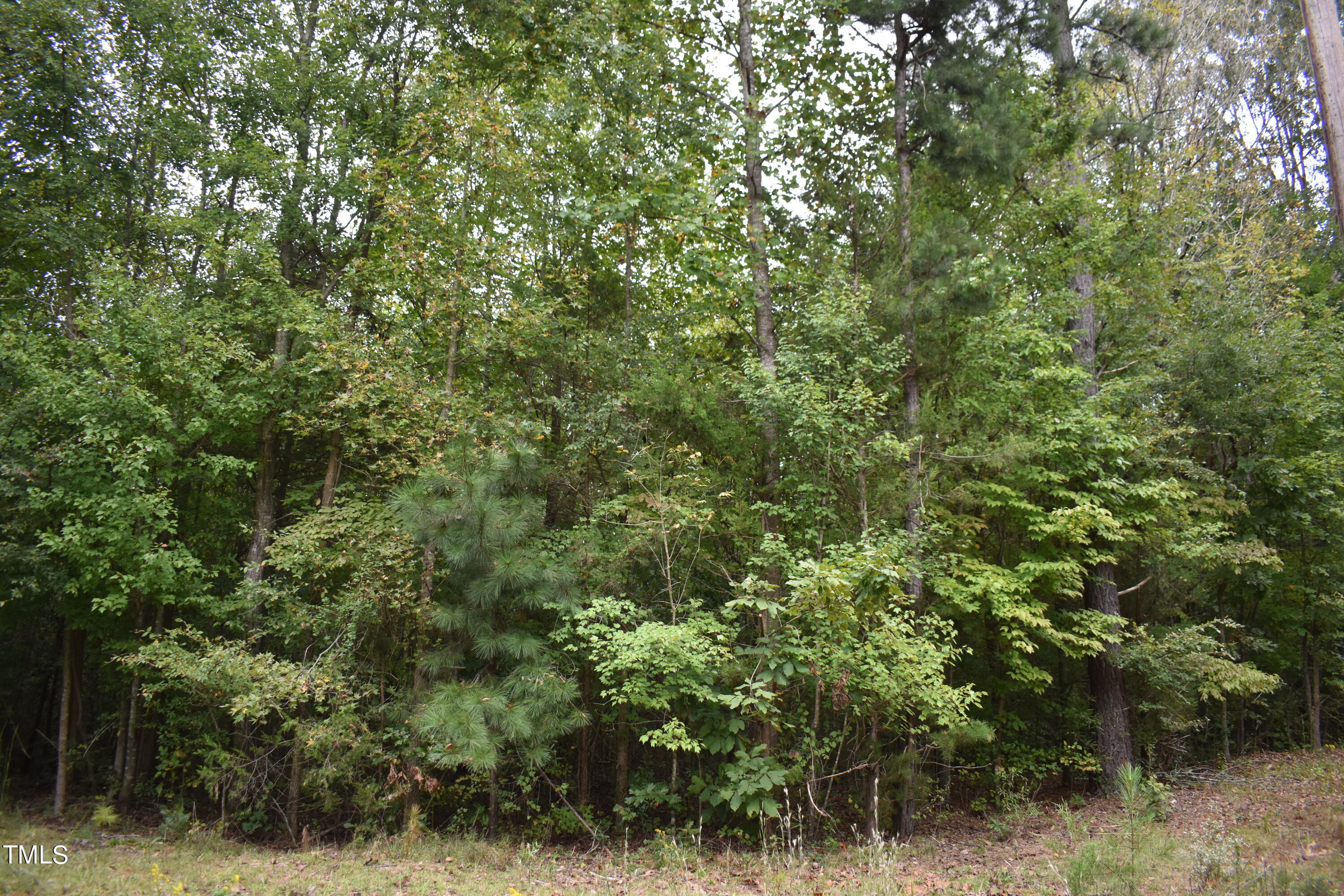 Tbd Tom Stevens Road Siler City, NC 27344 - Photo 10 of 11 DSC_0495