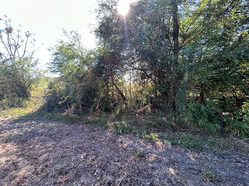 5.107-ac 5.107-ac Road Cottonwood, AL 36320 - Photo 14 of 19