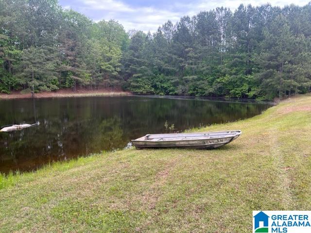 7307 County Road 31 Lineville, AL 36266 - Photo 7 of 30
