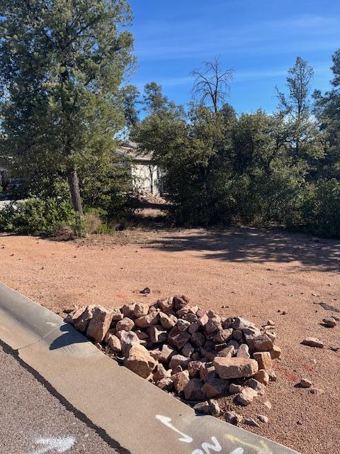 Lot 8 South Forest Ridge Court Tonto Basin, AZ 85553 - Photo 2 of 3
