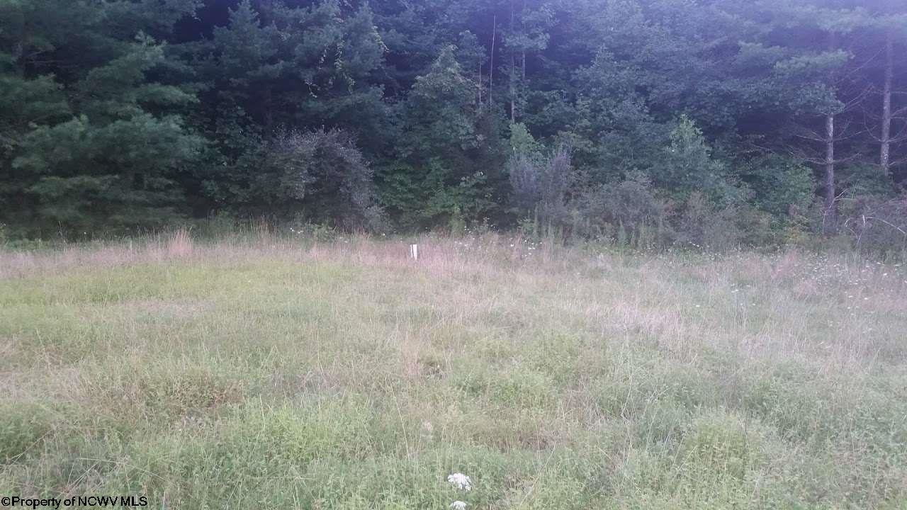 1147 Price Run Road Webster Springs, WV 26288 - Photo 5 of 19 Gallery Image 5