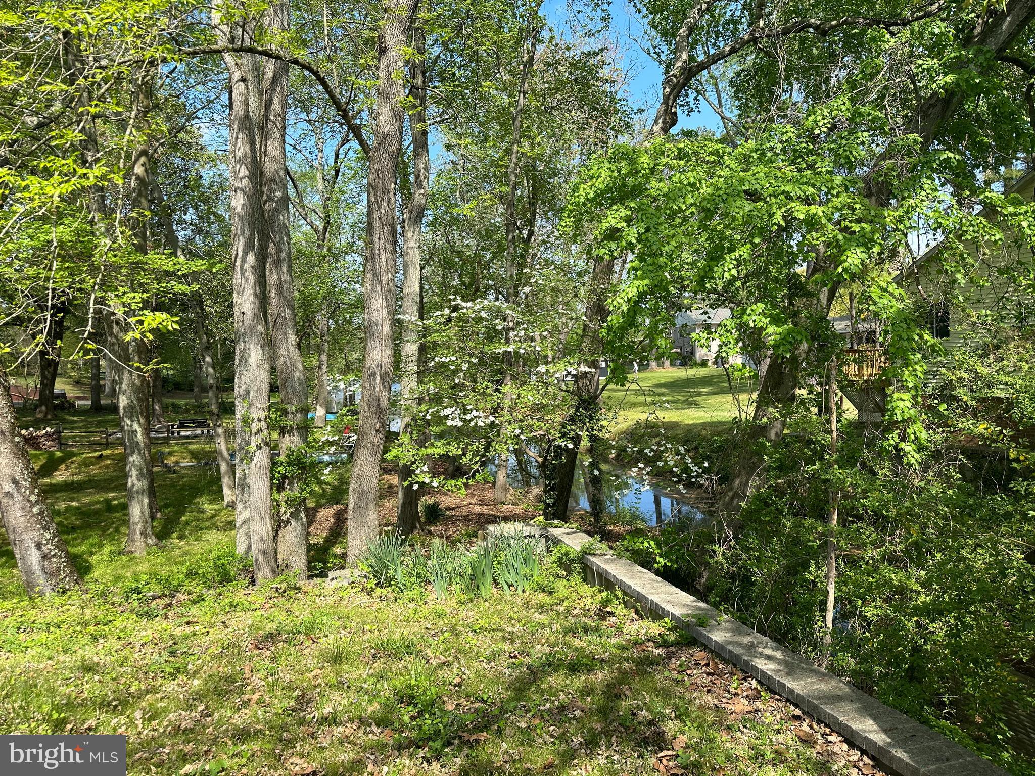 904 Riverside Drive Salisbury, MD 21801 - Photo 3 of 19