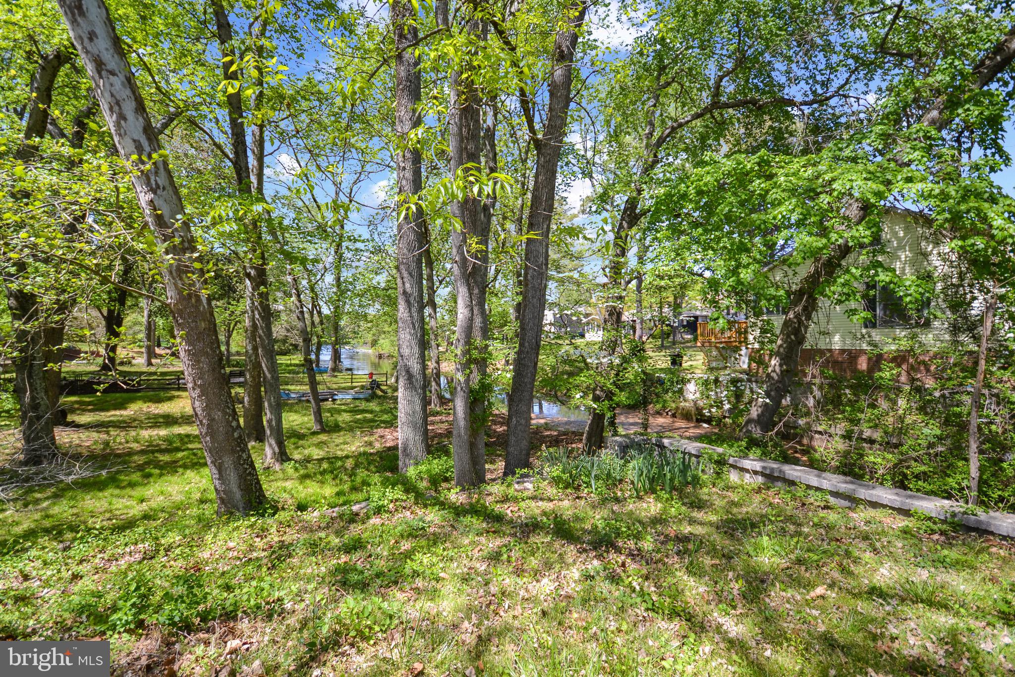 904 Riverside Drive Salisbury, MD 21801 - Photo 4 of 19